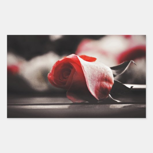  roze bloemen rechthoekige sticker (Voorkant)