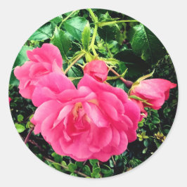 Roze bloemen ronde sticker