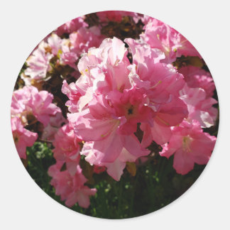 Roze bloemen ronde sticker