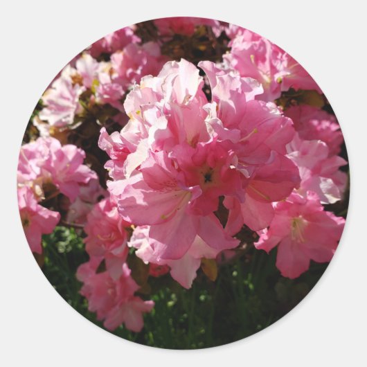 Roze bloemen ronde sticker (Voorkant)