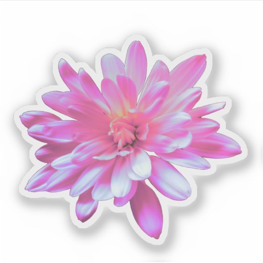 Roze bloemen roze bloem Roze Daisy roze zonnebloem Sticker (Voorkant)