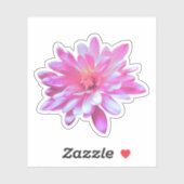 Roze bloemen roze bloem Roze Daisy roze zonnebloem Sticker (Vel)