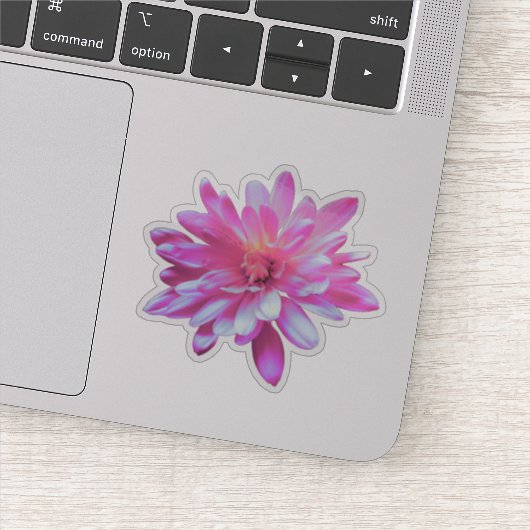 Roze bloemen roze bloem Roze Daisy roze zonnebloem Sticker (Detail)