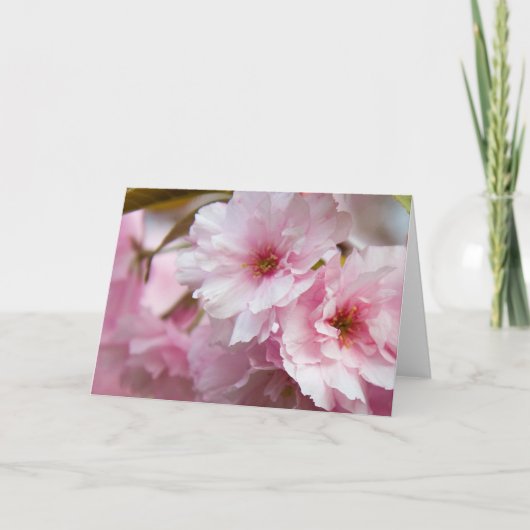 Roze Bloemen Sakura Kaart (Voorkant)