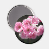 Roze Bloemen Standaard, 2¼ inch ronde magneet (Voorkant / Achterkant)