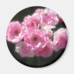 Roze Bloemen Standaard, 2¼ inch ronde magneet