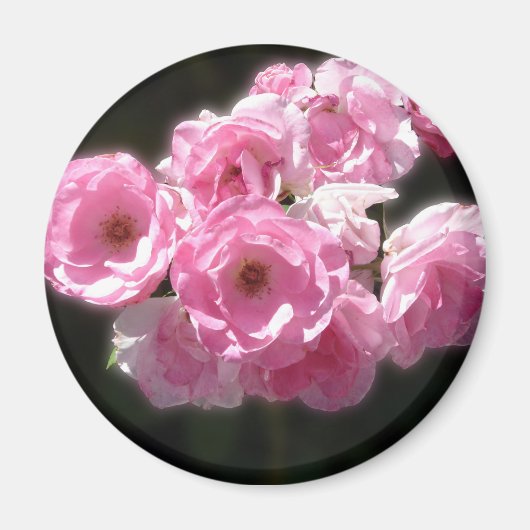 Roze Bloemen Standaard, 2¼ inch ronde magneet (Voorkant)