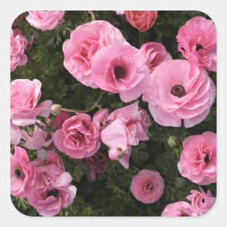 Roze bloemen sticker