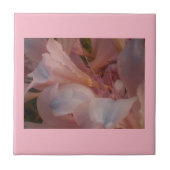 Roze bloemen tegeltje (Voorkant)