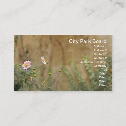 Roze bloemen tegen een kerkmuur visitekaartje (Voorkant)