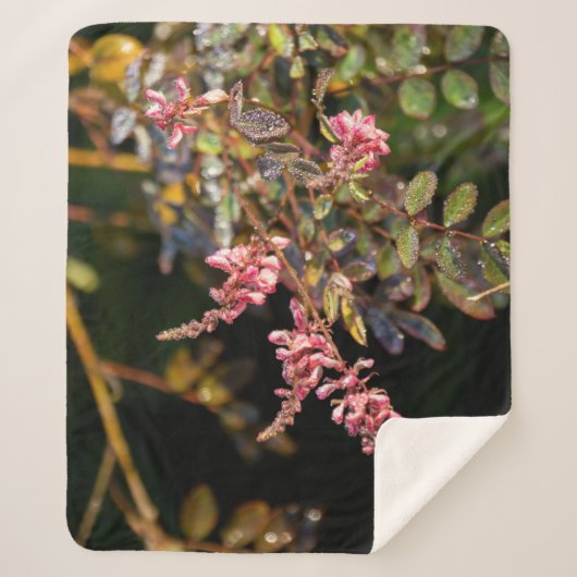 Roze bloemen tegen zwarte achtergrond sherpa deken (Voorkant)