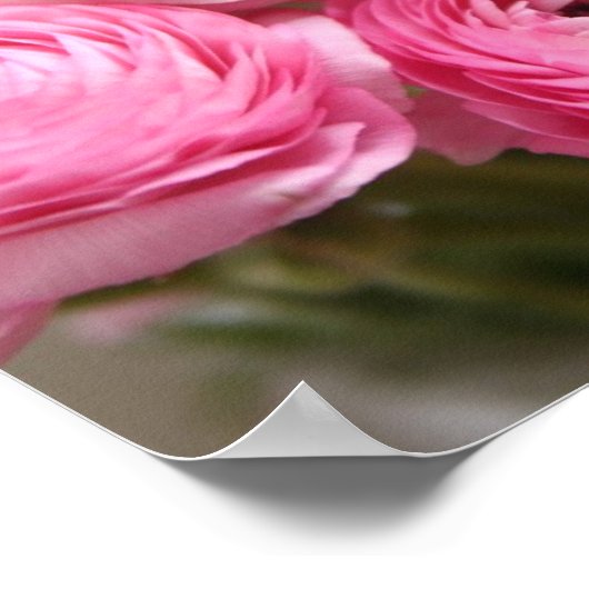 Roze bloemen teken poster (Hoek)