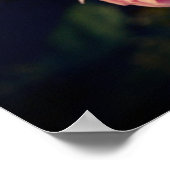 Roze bloemen uit de tuin poster (Hoek)