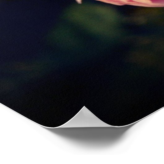 Roze bloemen uit de tuin poster (Hoek)