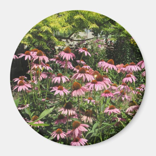  Roze Bloemen van de Foto Magnet van het Midwesten (Voorkant)