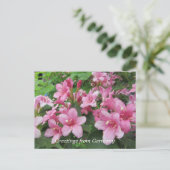 Roze bloemen van Duitsland Briefkaart (Staand voorkant)