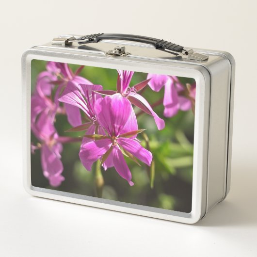 Roze bloemen van een geranium met klimopbladeren (Voorkant)