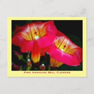 Roze bloemen van Hawaiian Bell Briefkaart