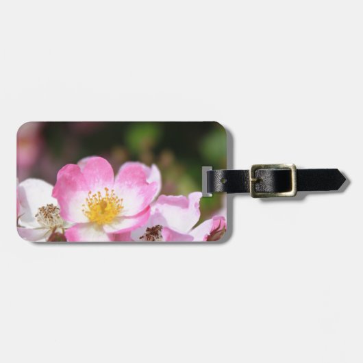  roze bloemen van wild roos voor dames bagagelabel (Voorkant horizontaal)