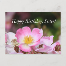  roze bloemen van wild roos voor dames briefkaart