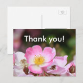  roze bloemen van wild roos voor dames briefkaart (Voorkant / Achterkant)