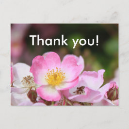  roze bloemen van wild roos voor dames briefkaart