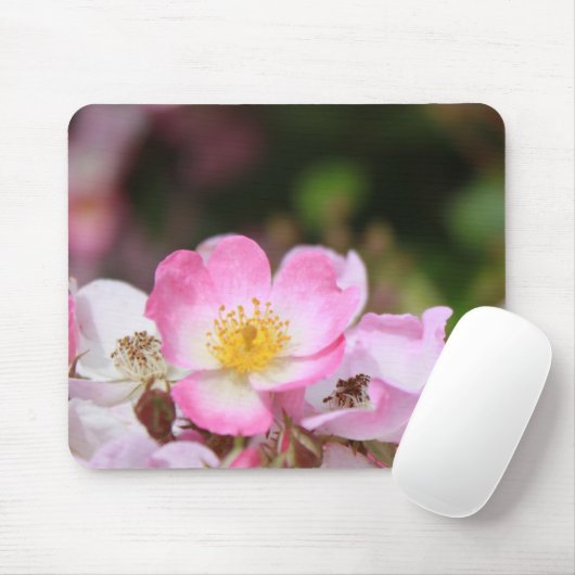  roze bloemen van wild roos voor dames muismat (Met muis)