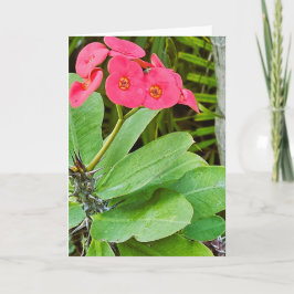 Roze bloemen wenskaart kaart