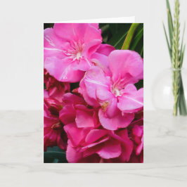 Roze bloemen wenskaart kaart