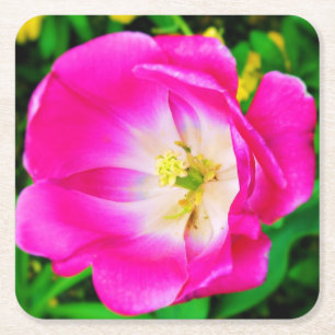 Roze bloemen Wilde bloem - Onderzetter