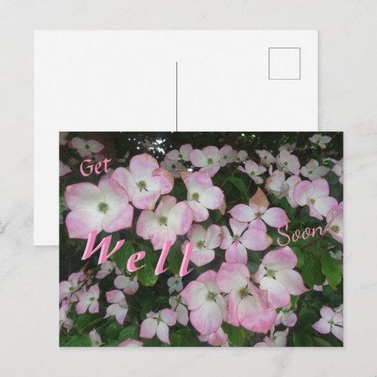 Roze bloemen worden snel goed Briefkaart (Voorkant / Achterkant)