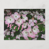 Roze bloemen worden snel goed Briefkaart (Voorkant)