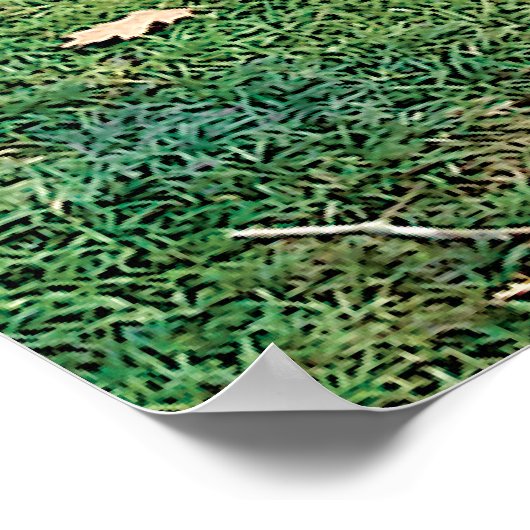 Roze Bloemenboom Fotografische Print (Hoek)