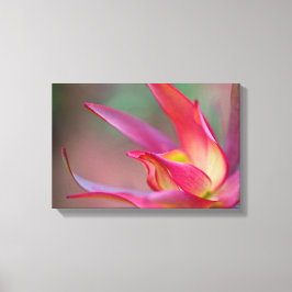Roze bloemendoek canvas afdruk