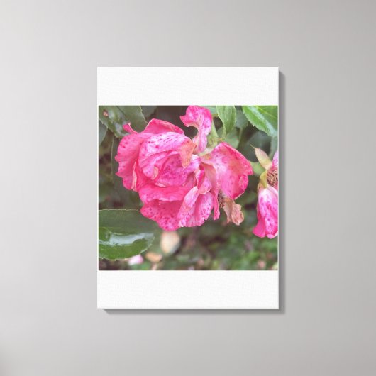 roze bloemendruk Grreyforaday Canvas Afdruk (Voorkant)