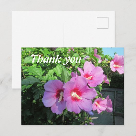 Roze Bloemenfotografie Bedankt Briefkaart (Voorkant / Achterkant)