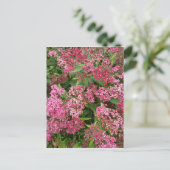 Roze bloemennatuuransichtkaart briefkaart (Staand voorkant)