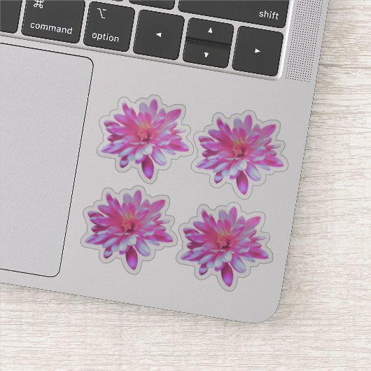 Roze bloemenroze bloemen margriet zonnebloem sticker (Detail)