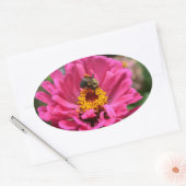  roze bloemenroze Zinnia Bumble bee Ovale Sticker (Envelop)