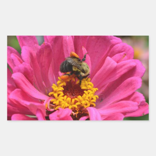  roze bloemenroze Zinnia Bumble bee Rechthoekige Sticker (Voorkant)
