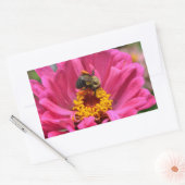  roze bloemenroze Zinnia Bumble bee Rechthoekige Sticker (Envelop)