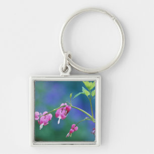 Roze bloemhartjes in de tuin. Met dank aan: Sleutelhanger