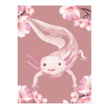 Roze Bloemige Axolotl Poster