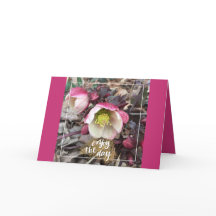 ROZE BLOEMIGE MOEDERDAG GROET