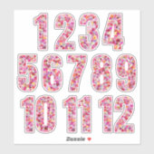 Roze Bloemige Nummers 12 Maanden Sticker (Vel)
