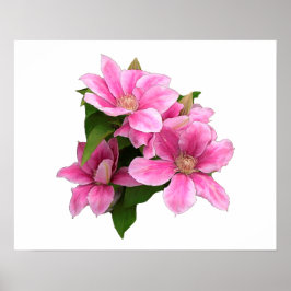 Roze bloemillustratie witte bloem poster