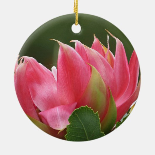 Roze bloemkeramische sierbloem keramisch ornament (Achterkant)