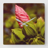 Roze Bloemknop Bloementuin Foto Klok (Voorkant)