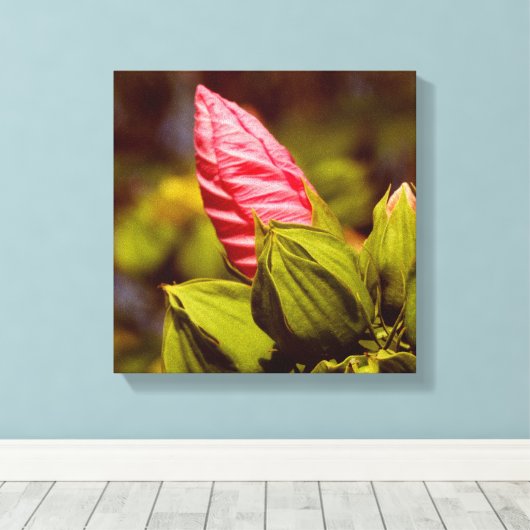Roze Bloemknop Bloementuin foto single Canvas Afdruk (Insitu (Houten vloer))