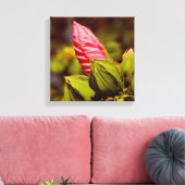 Roze Bloemknop Bloementuin foto single Canvas Afdruk (Insitu (Woonkamer))